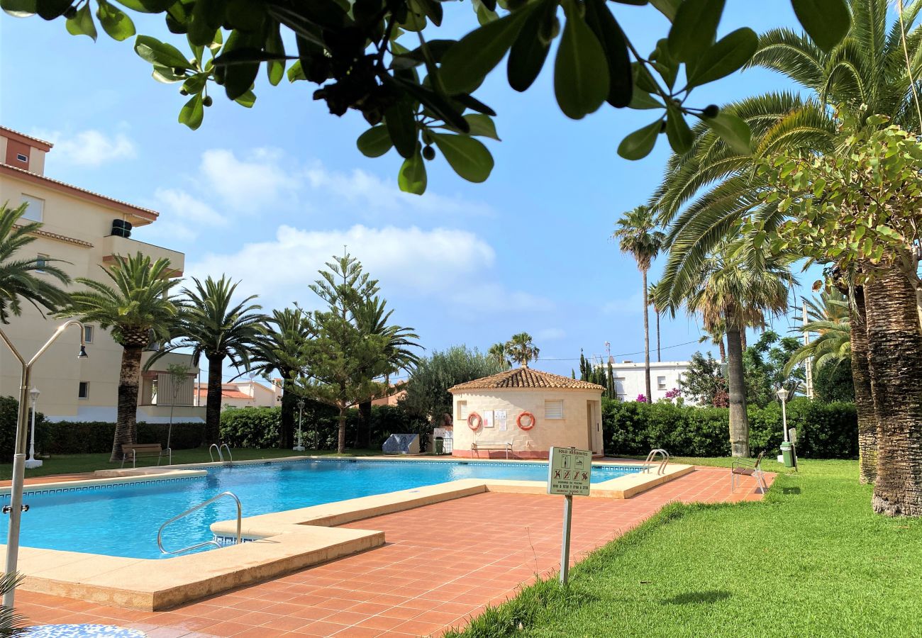 Apartment in Denia - LA MARINA LM075